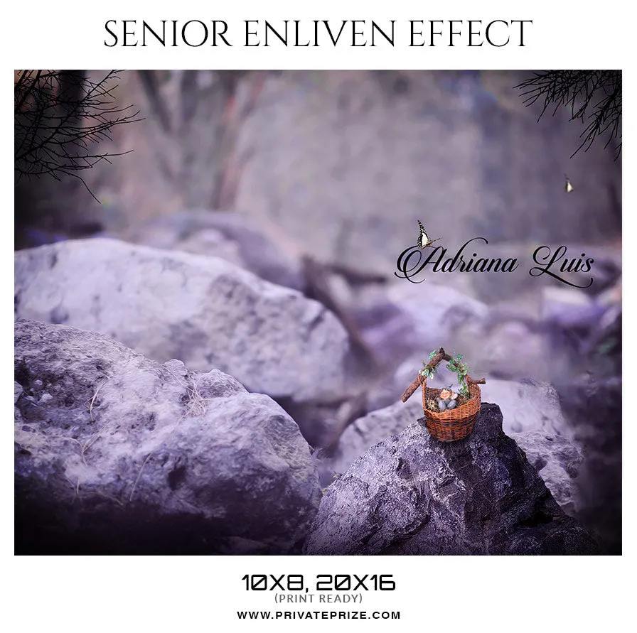 Adriana-Luis - Senior Enliven Effect Photography Template