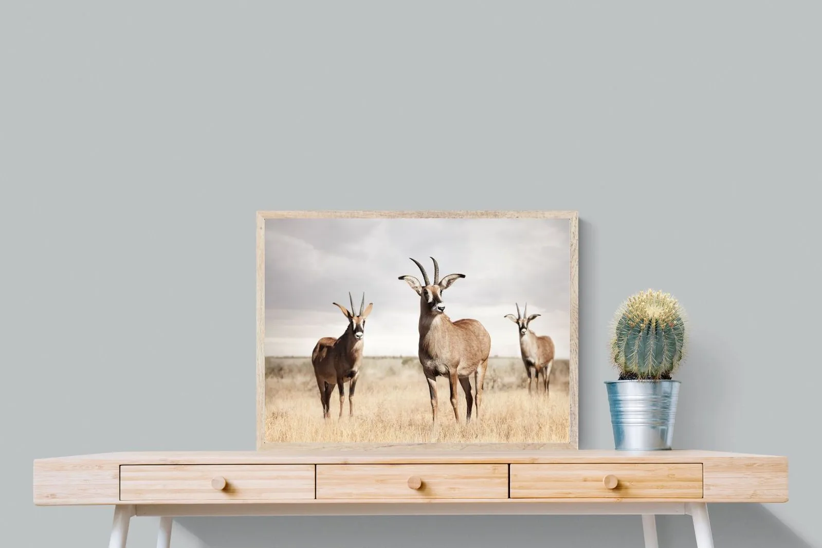 Antelope Trio