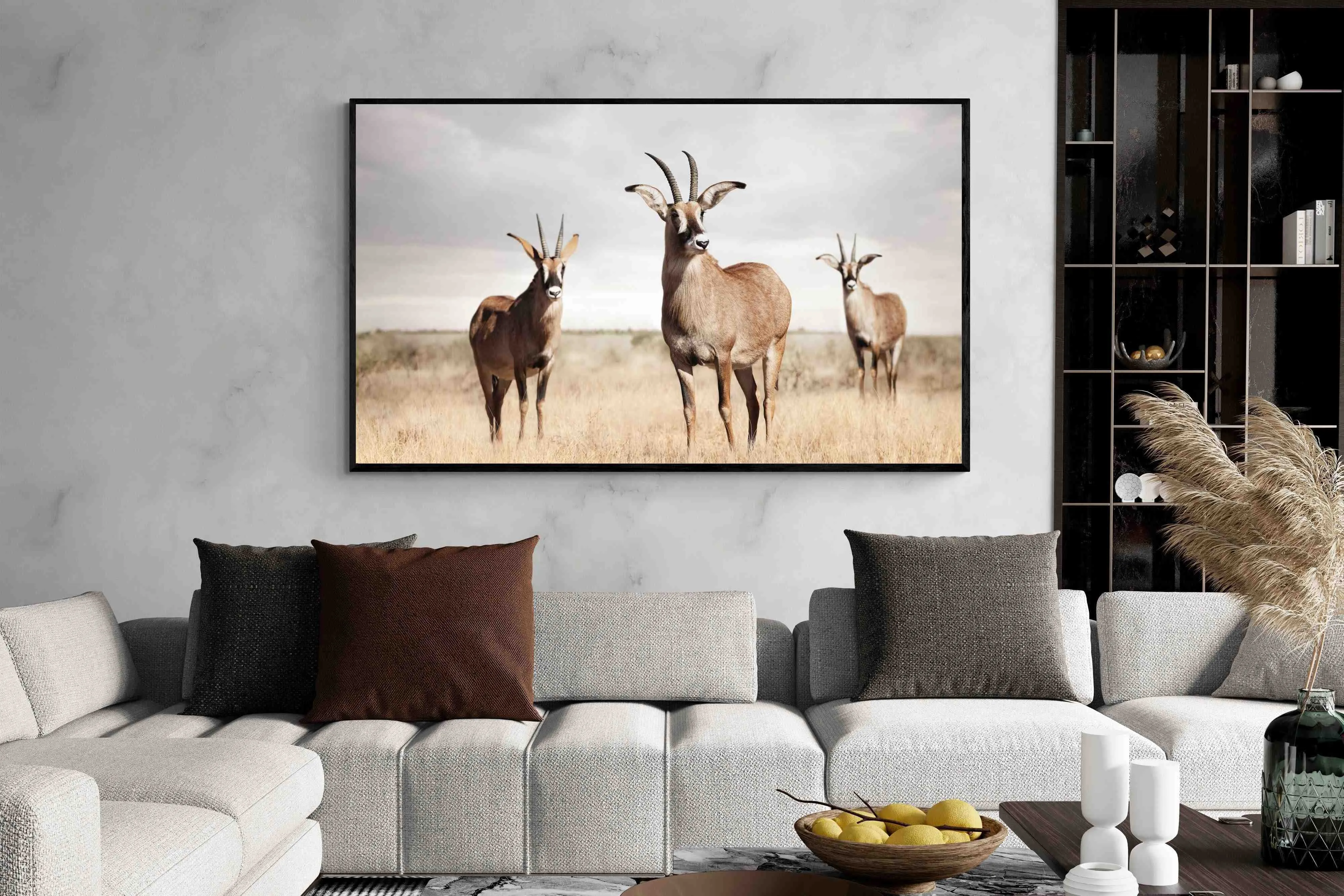 Antelope Trio