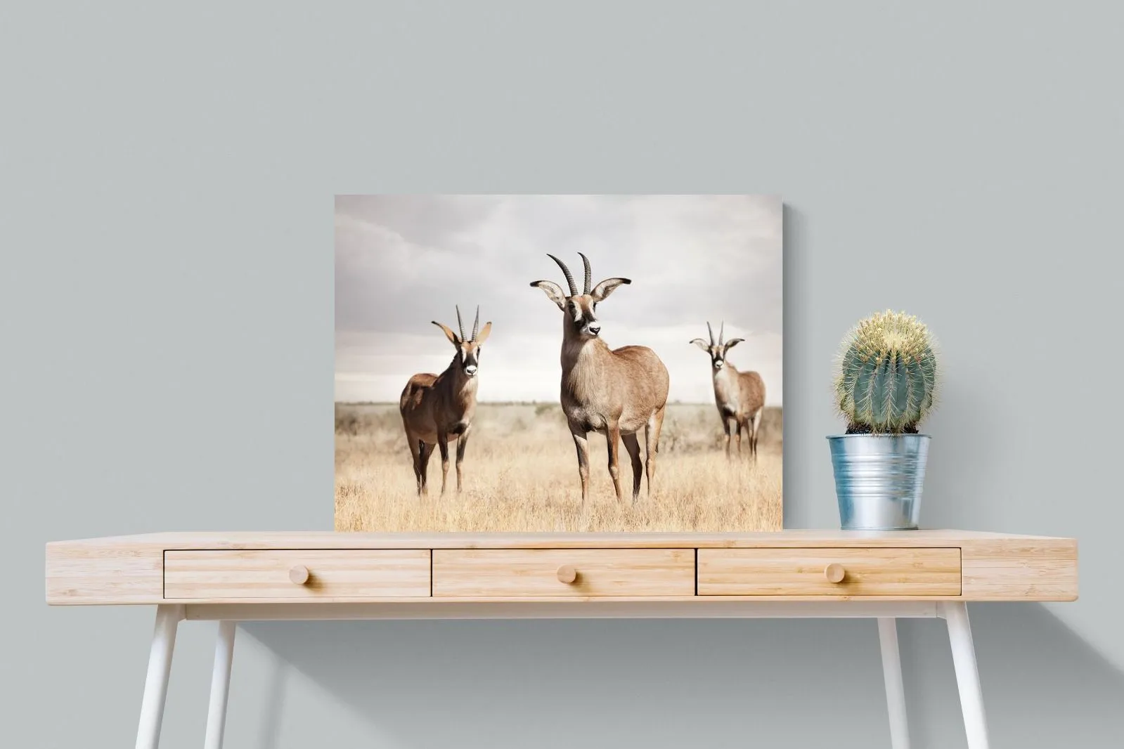 Antelope Trio