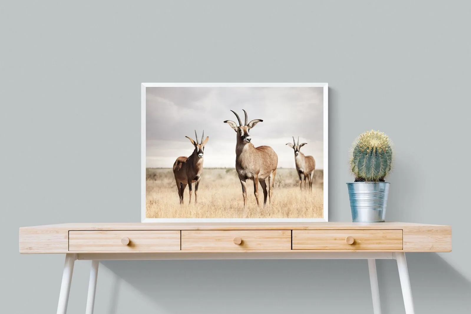 Antelope Trio