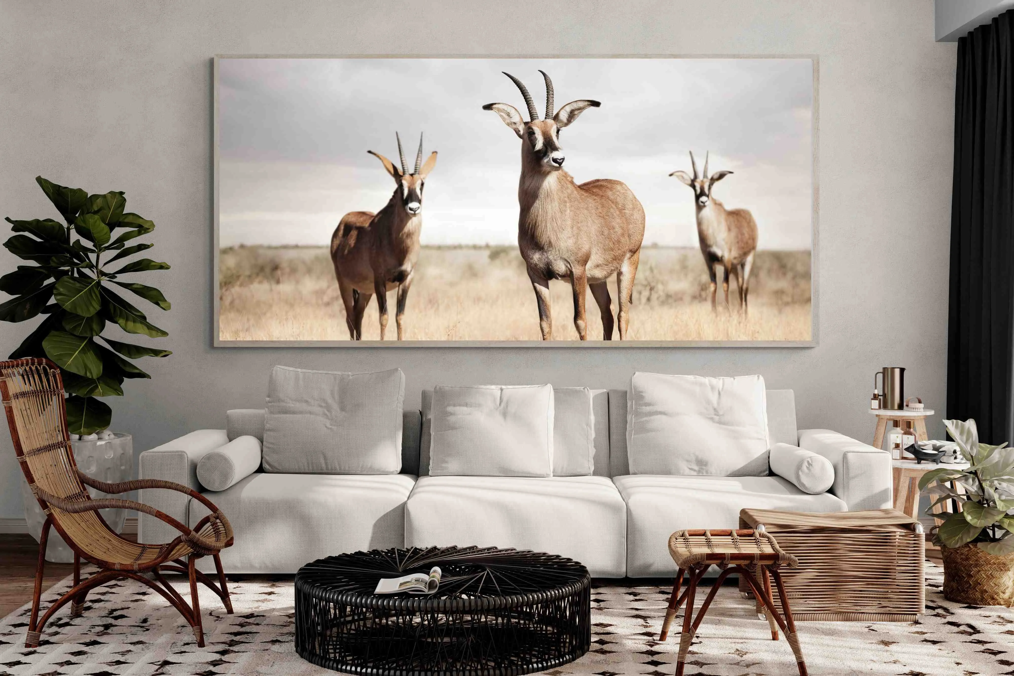 Antelope Trio