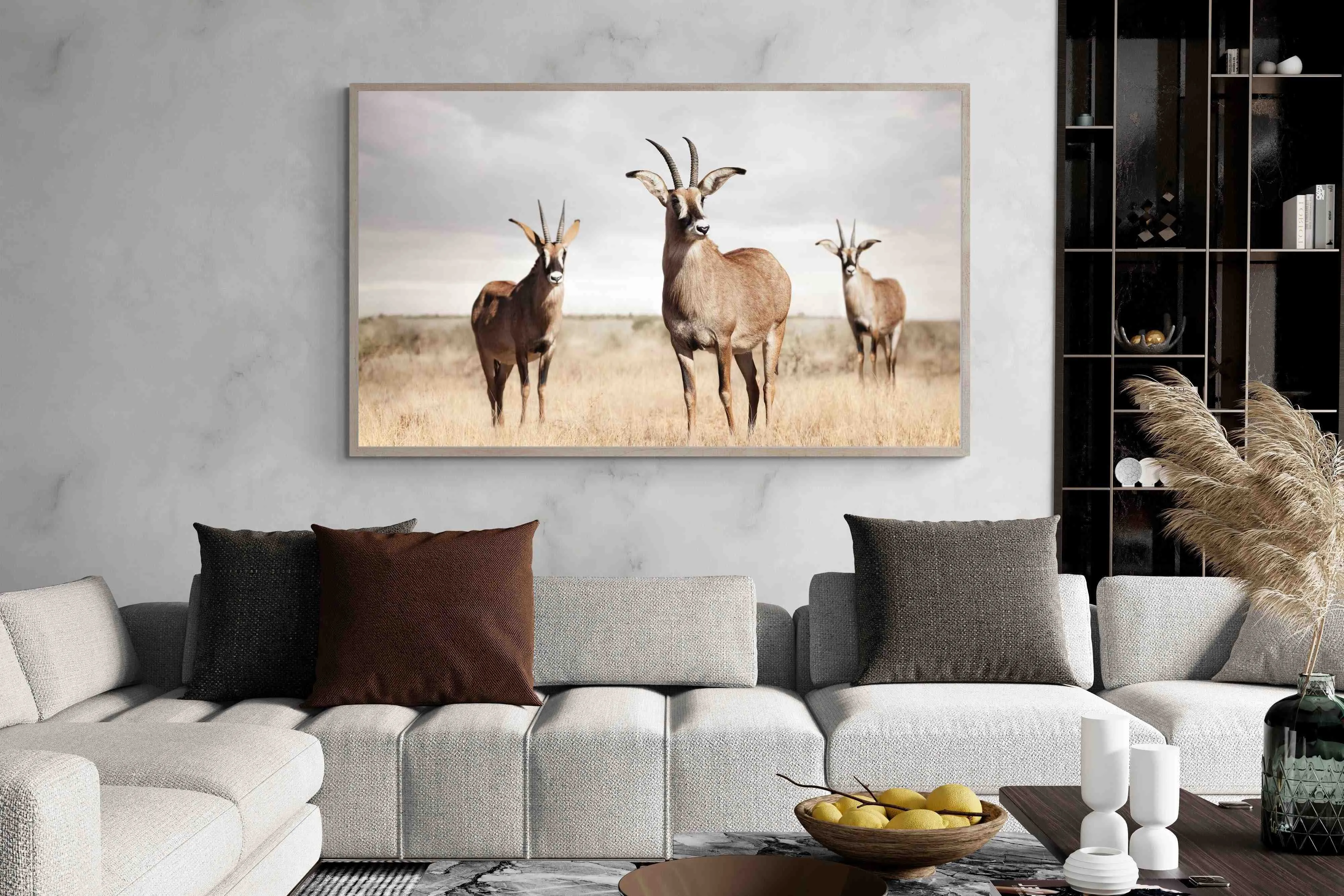 Antelope Trio