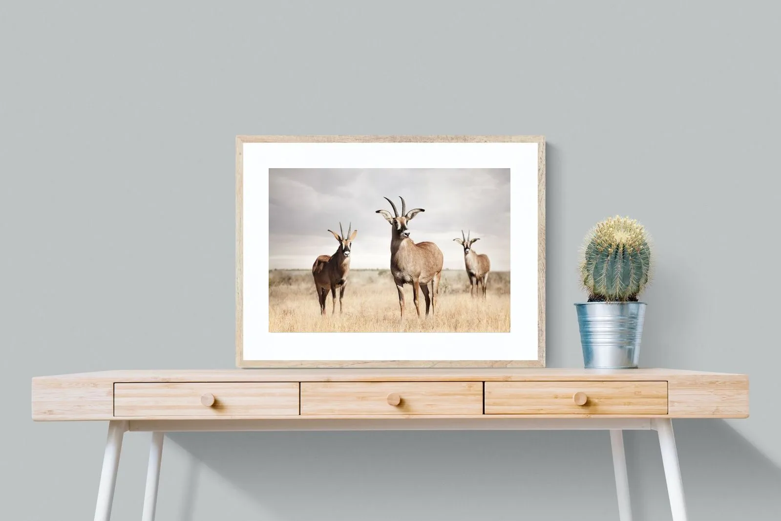 Antelope Trio