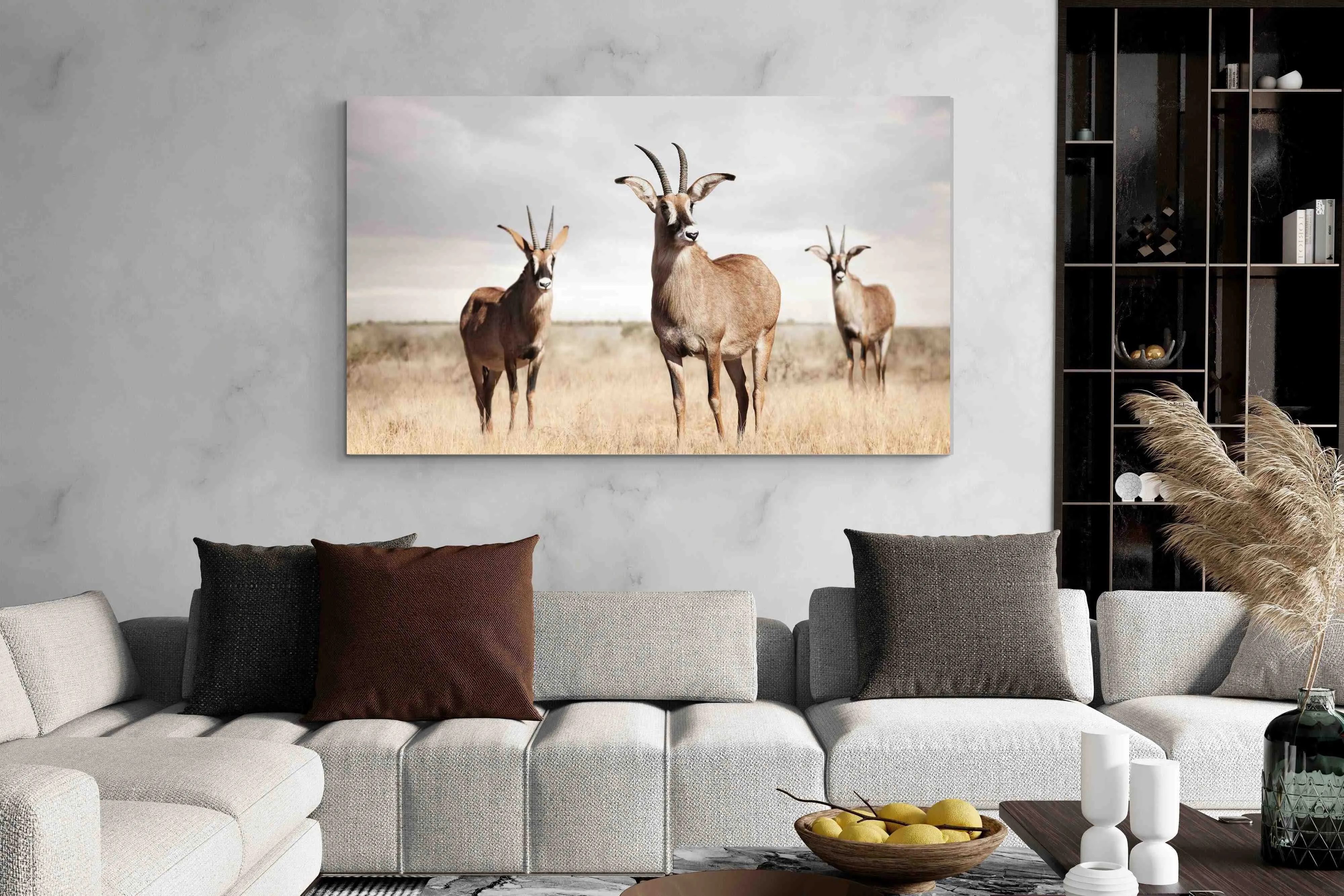 Antelope Trio