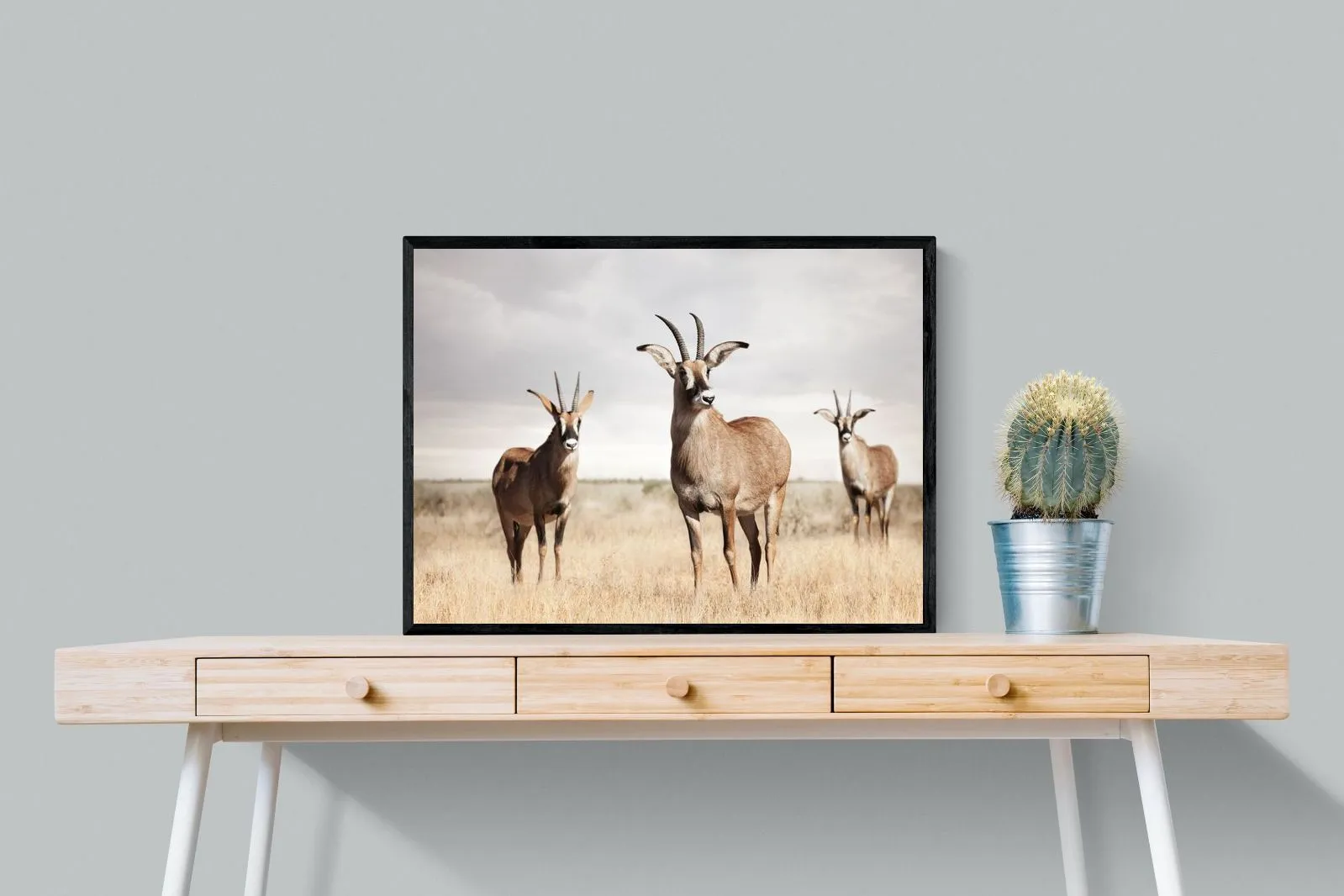 Antelope Trio