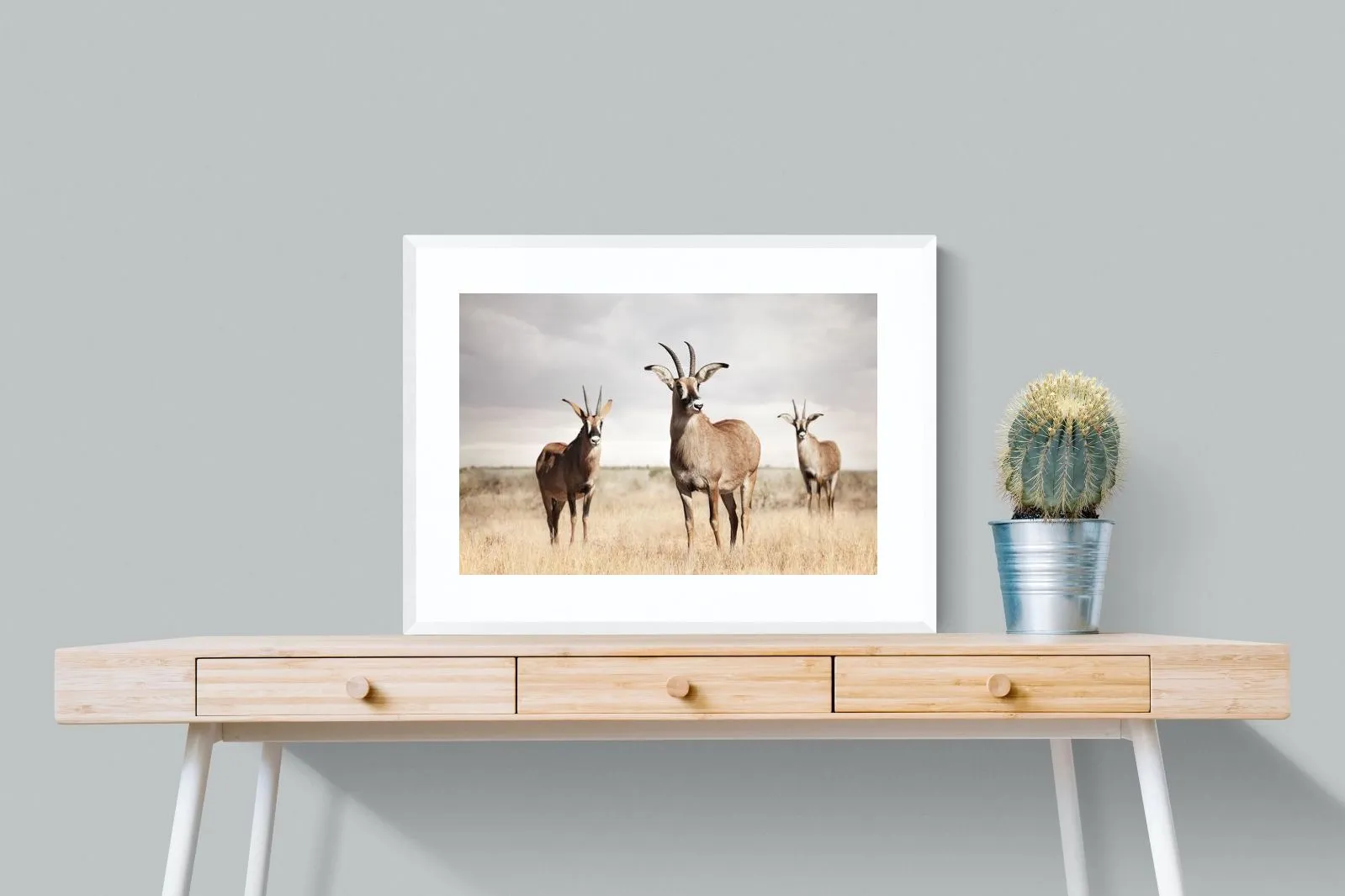 Antelope Trio