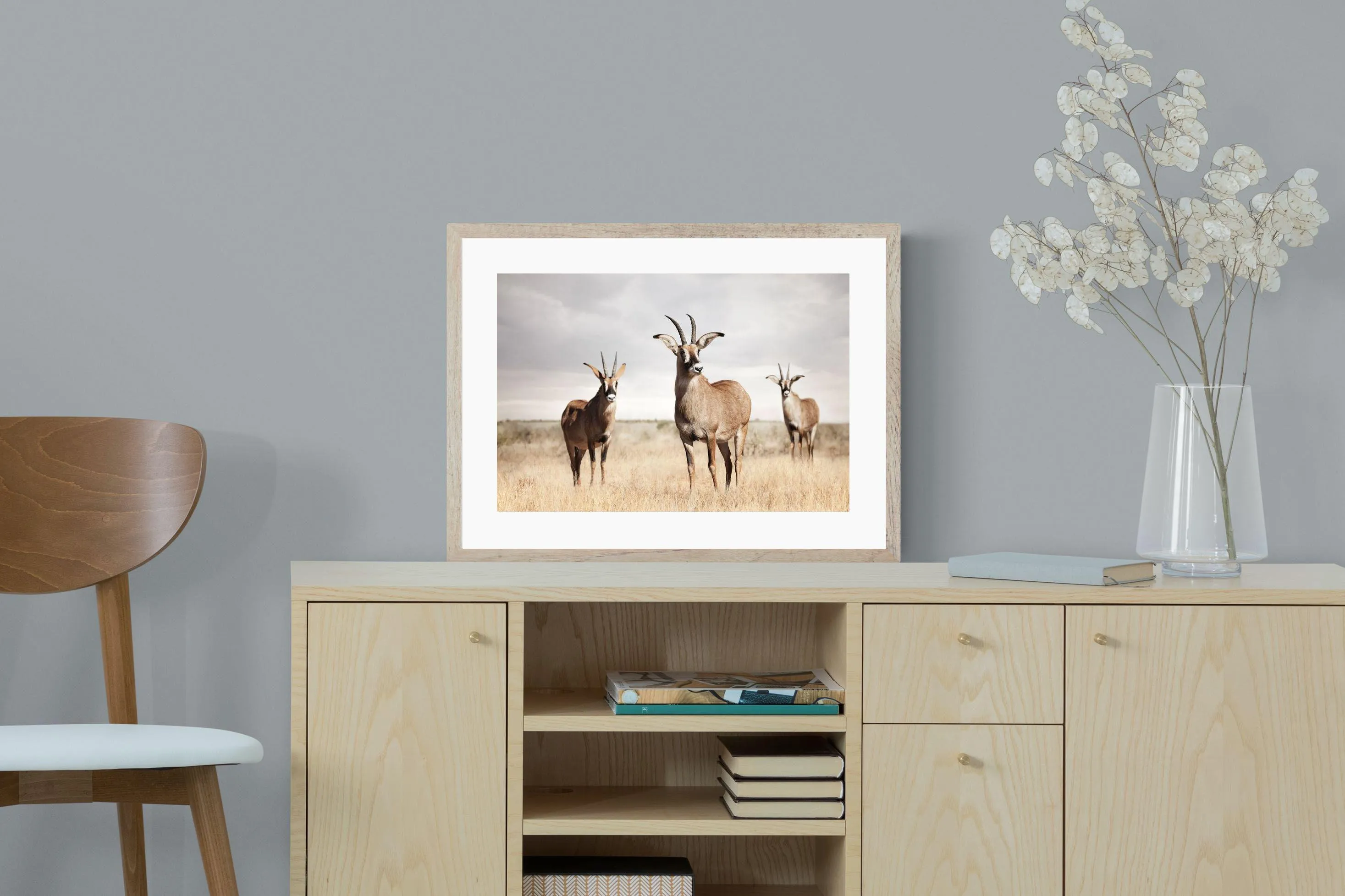 Antelope Trio