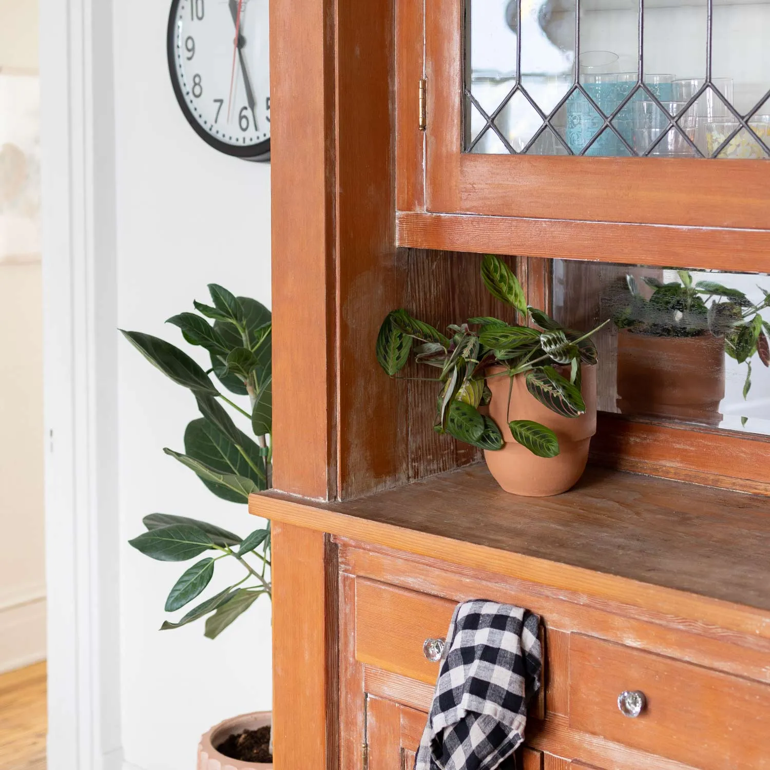 Big Cuff Planter