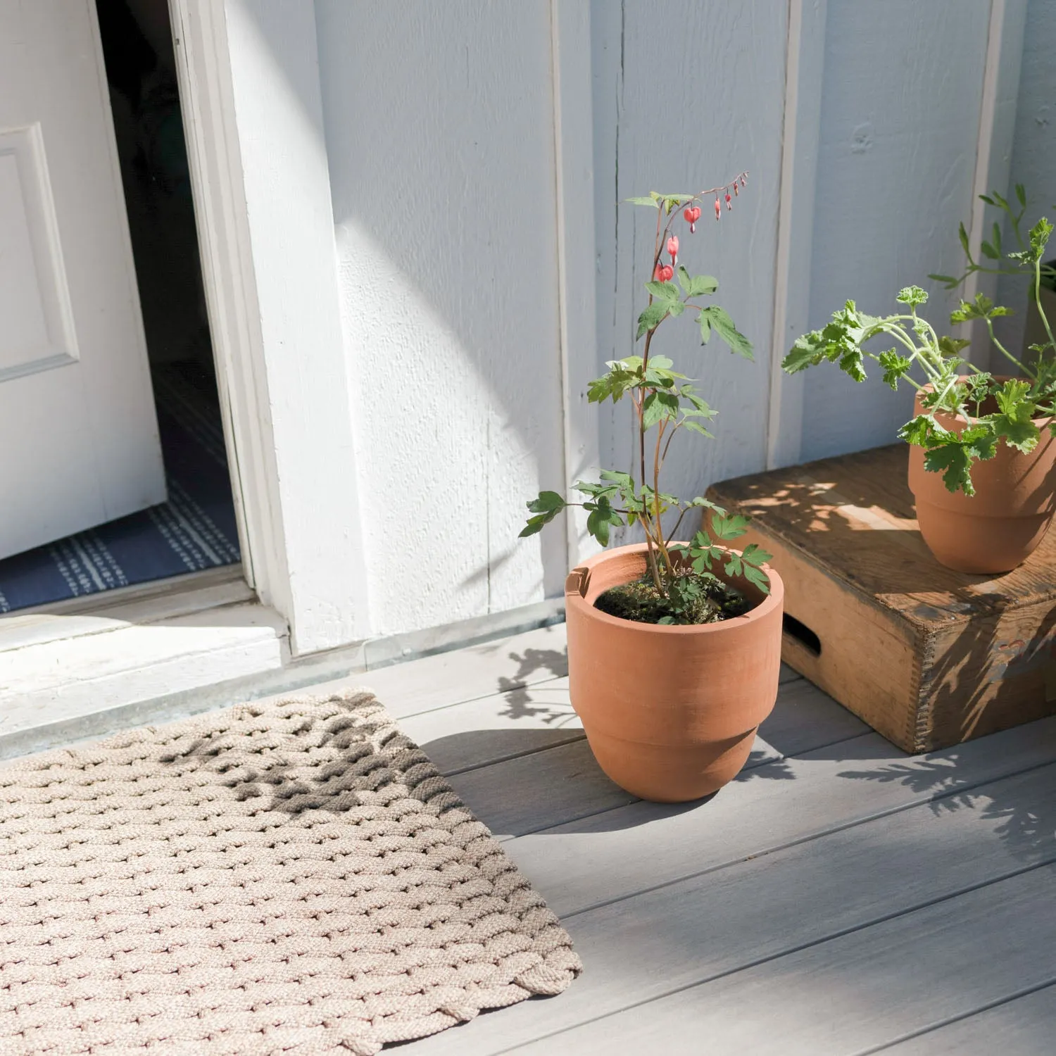 Big Cuff Planter