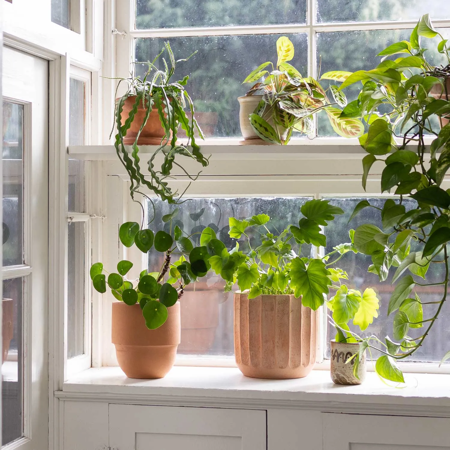 Big Cuff Planter