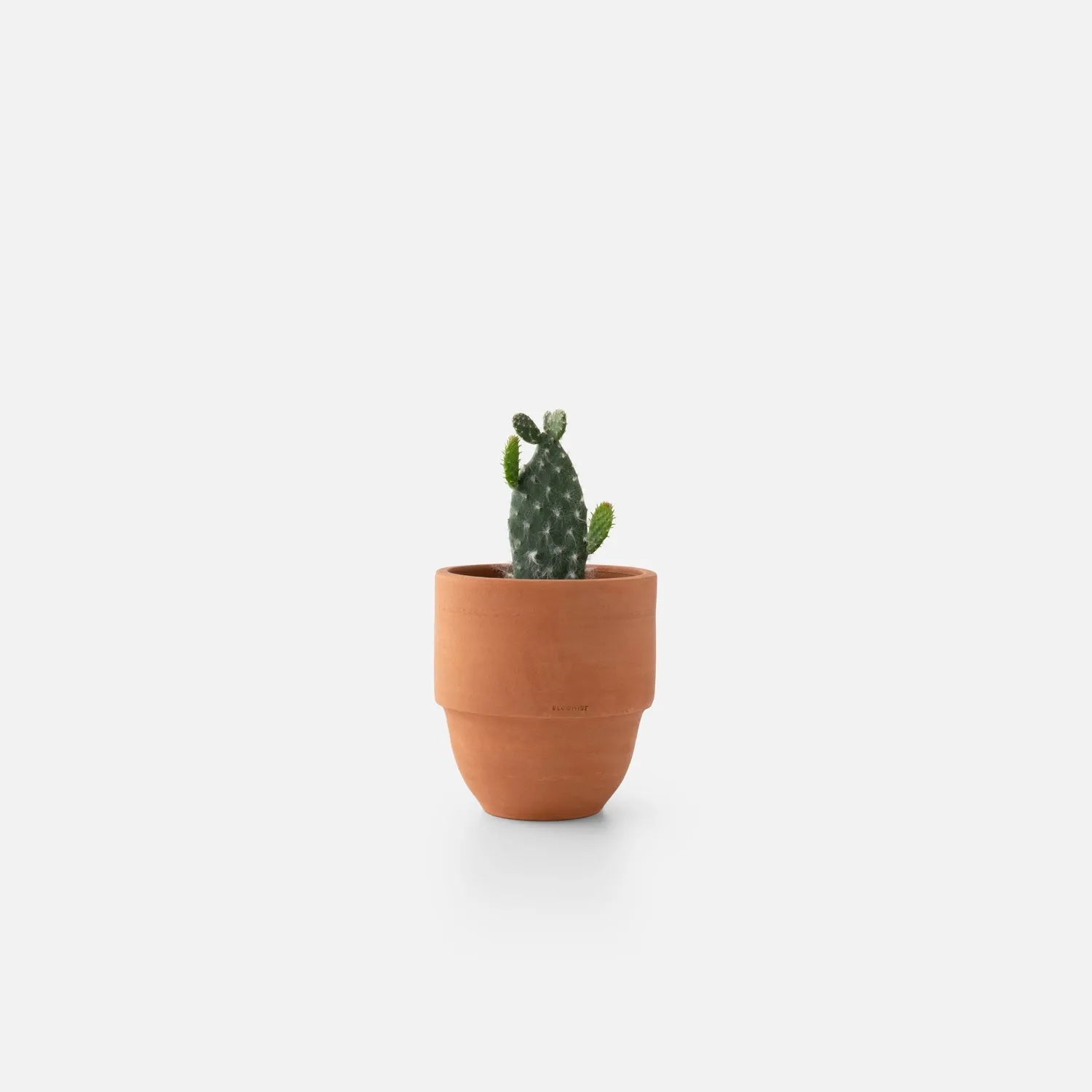 Big Cuff Planter