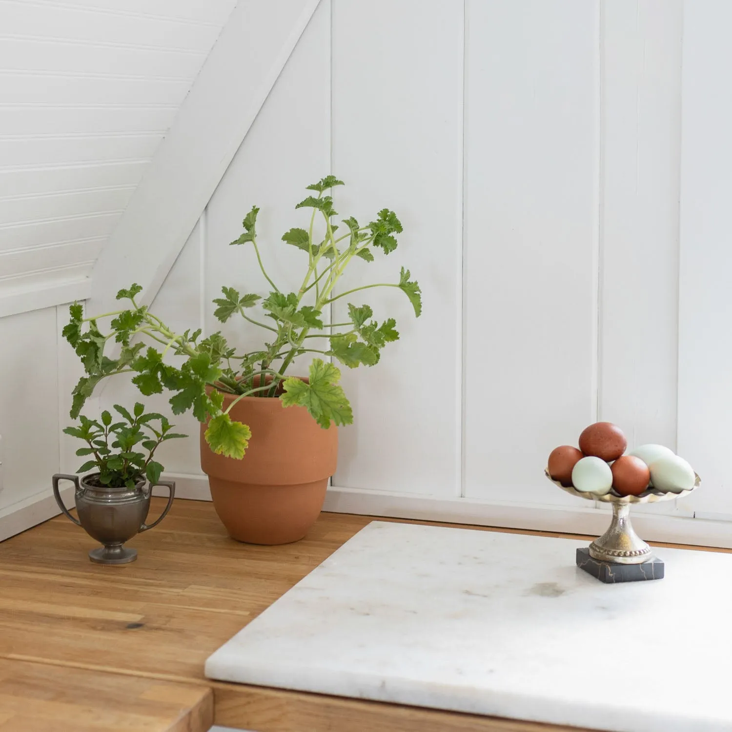 Big Cuff Planter