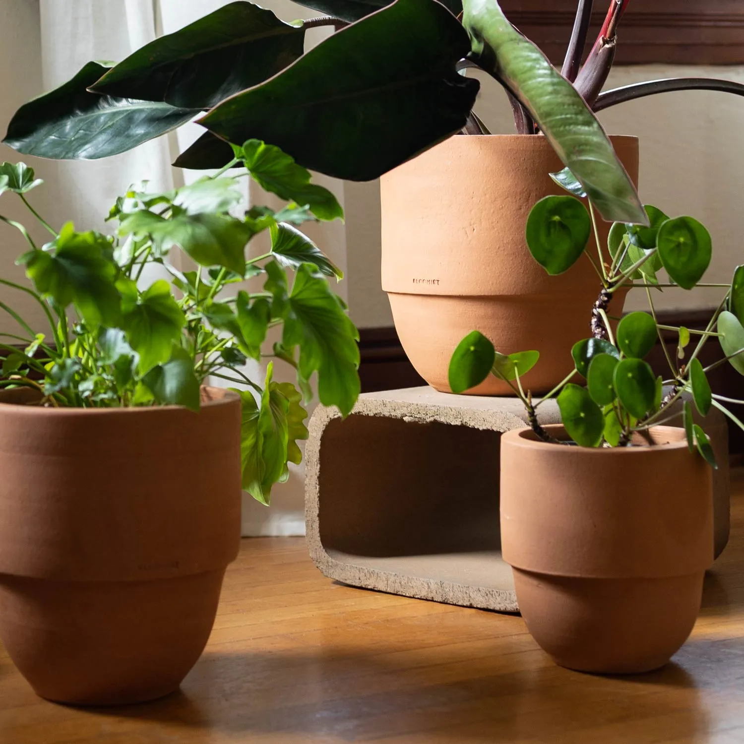 Big Cuff Planter