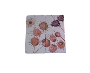 Coaster Set of 4 - Burrs on Snow