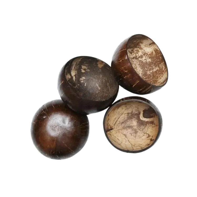 Coconut Shell Bowl