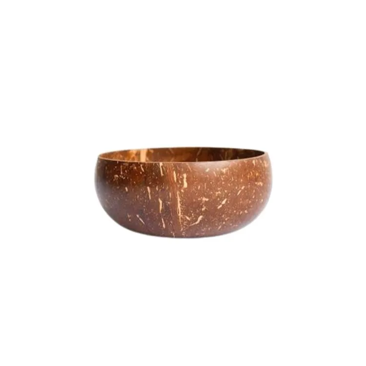 Coconut Shell Bowl