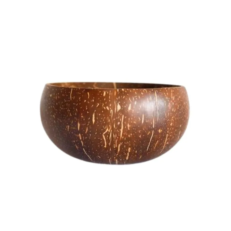 Coconut Shell Bowl