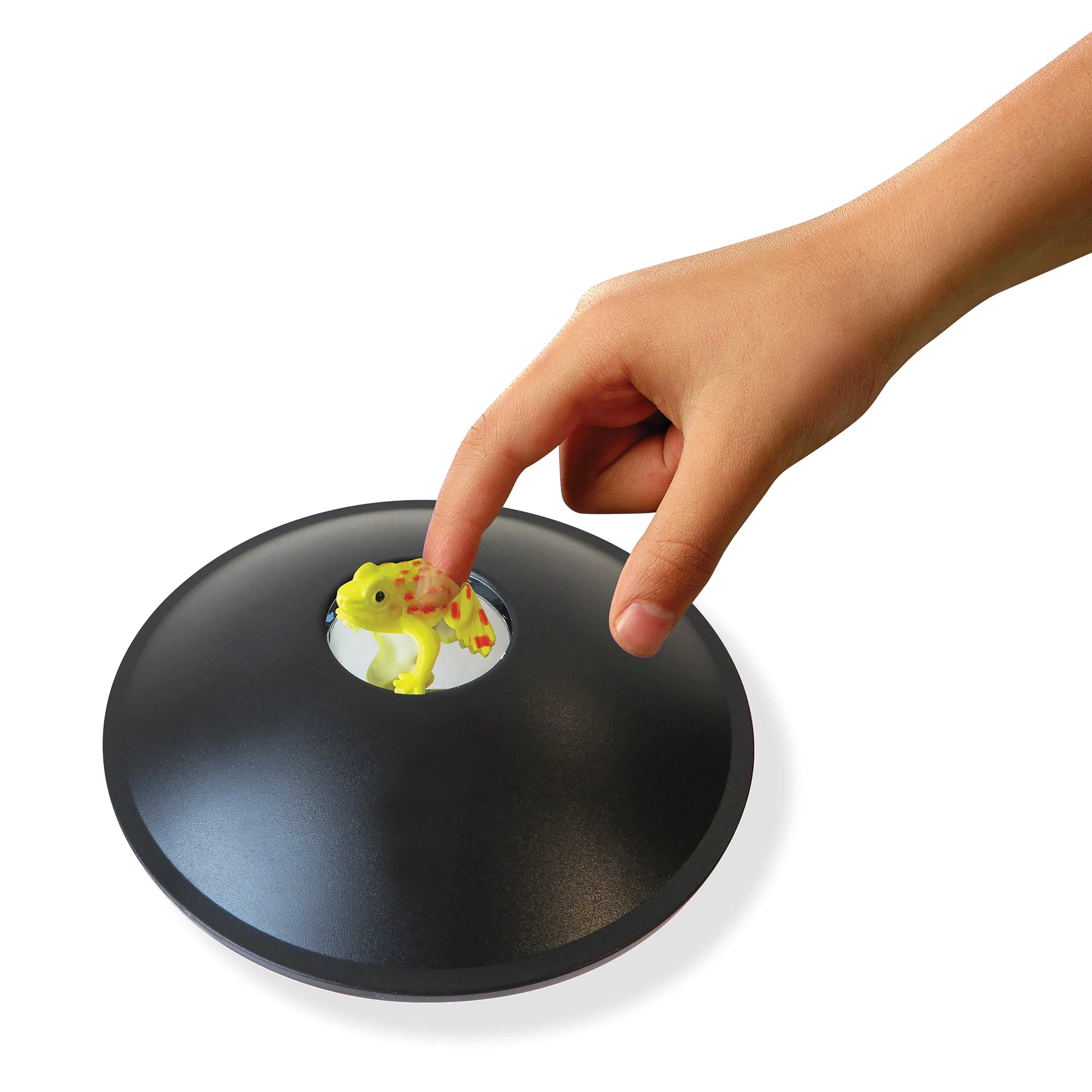 Discovery Zone - 3D Mirascope