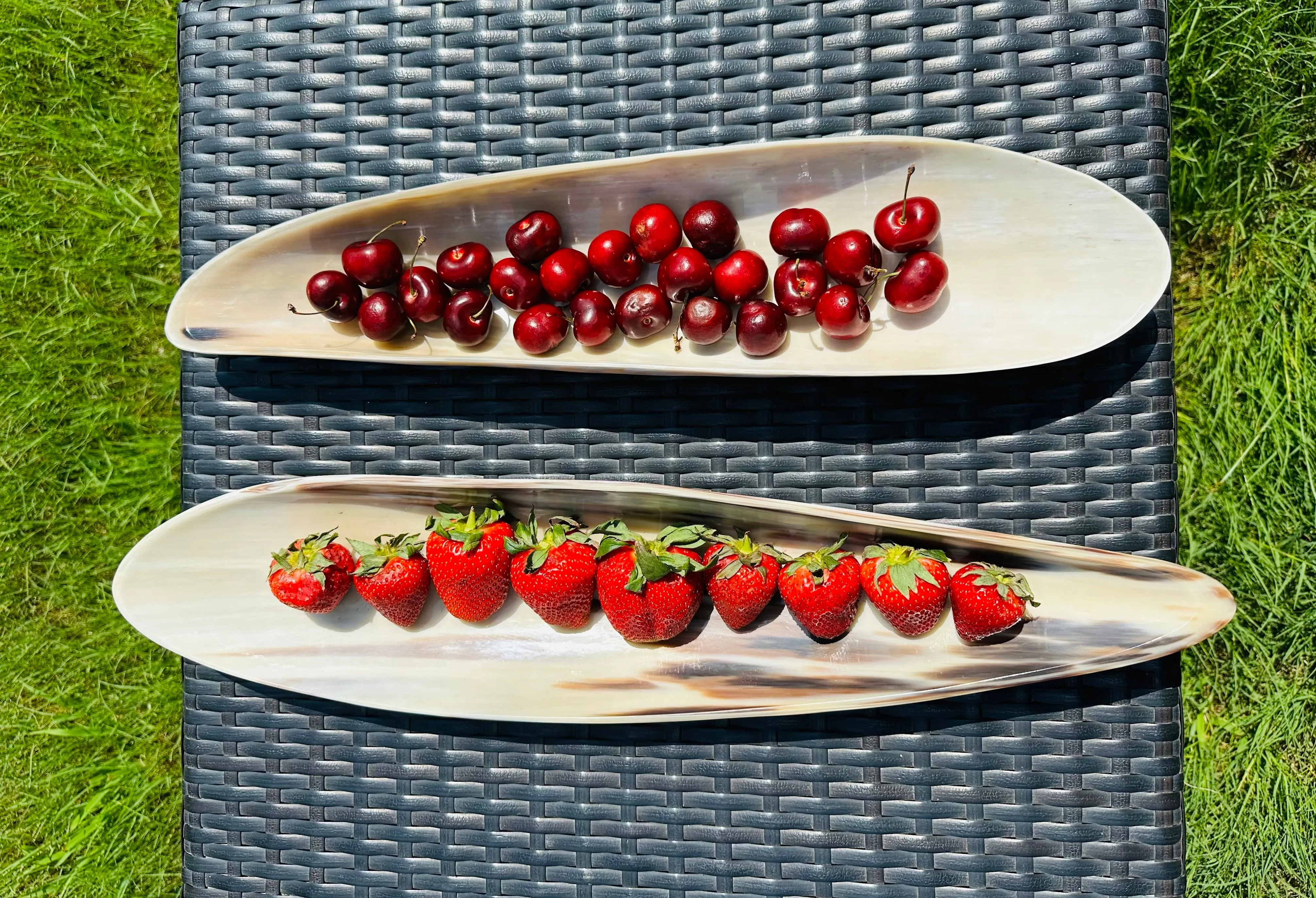 Elongated Horn Oval Decorative Tray -Light