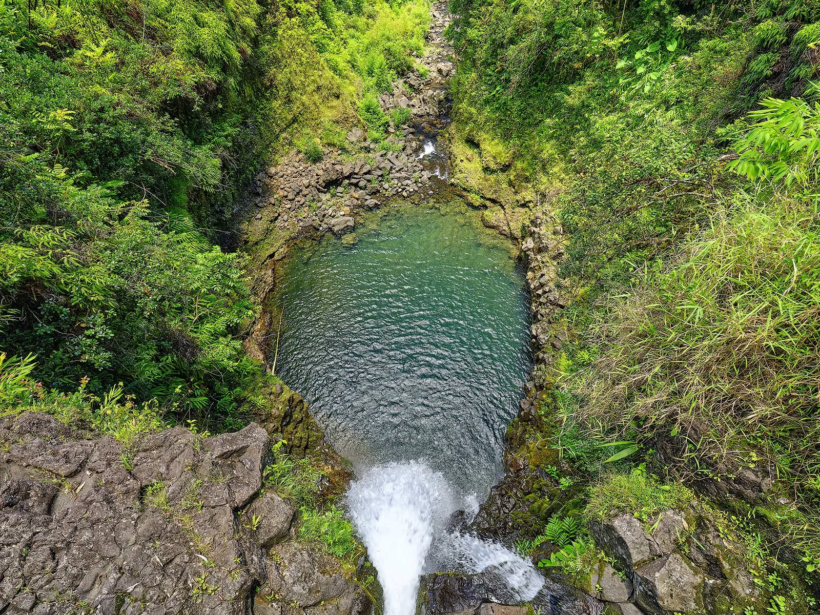 Free Fallin by Andrew Shoemaker