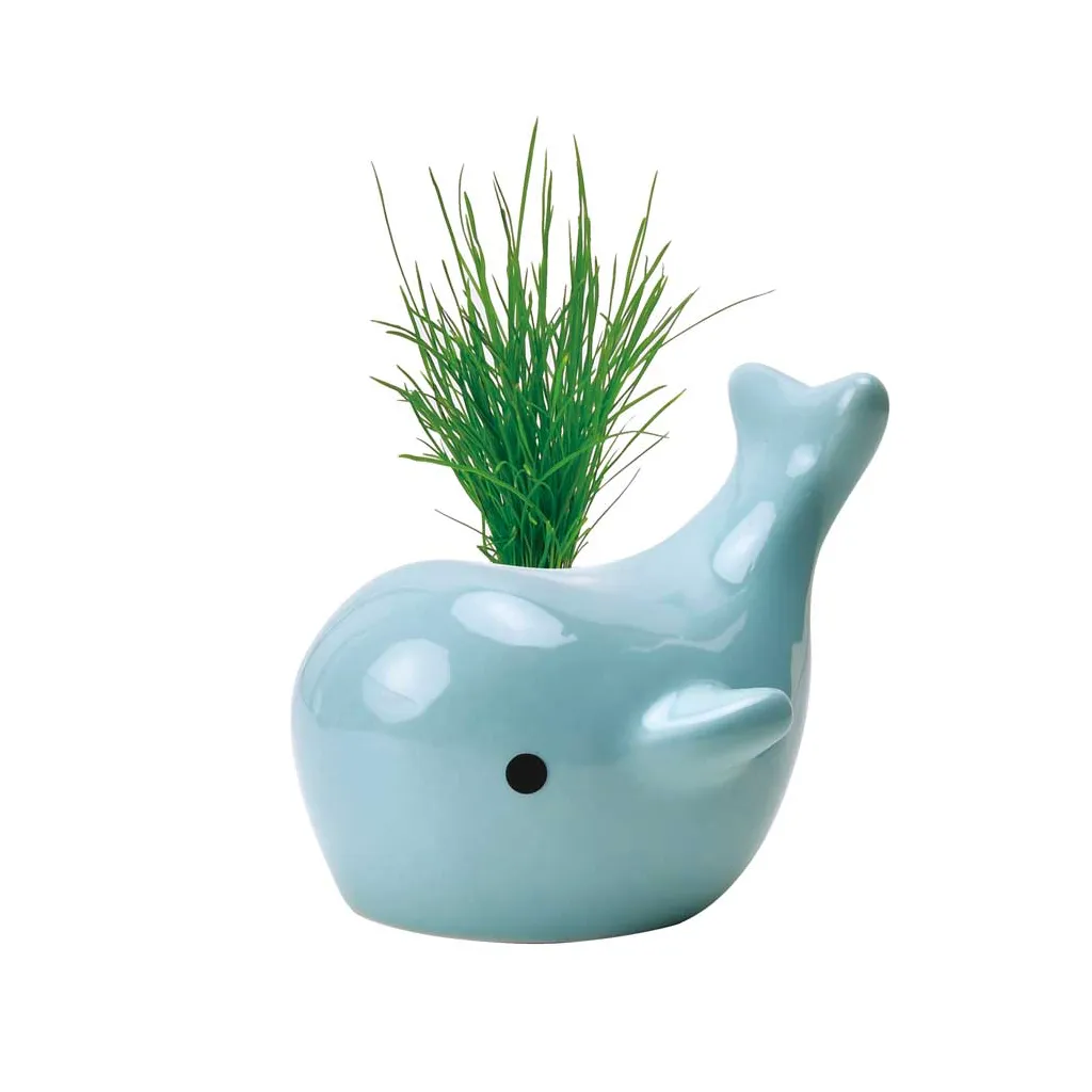 Happy Whale Planters