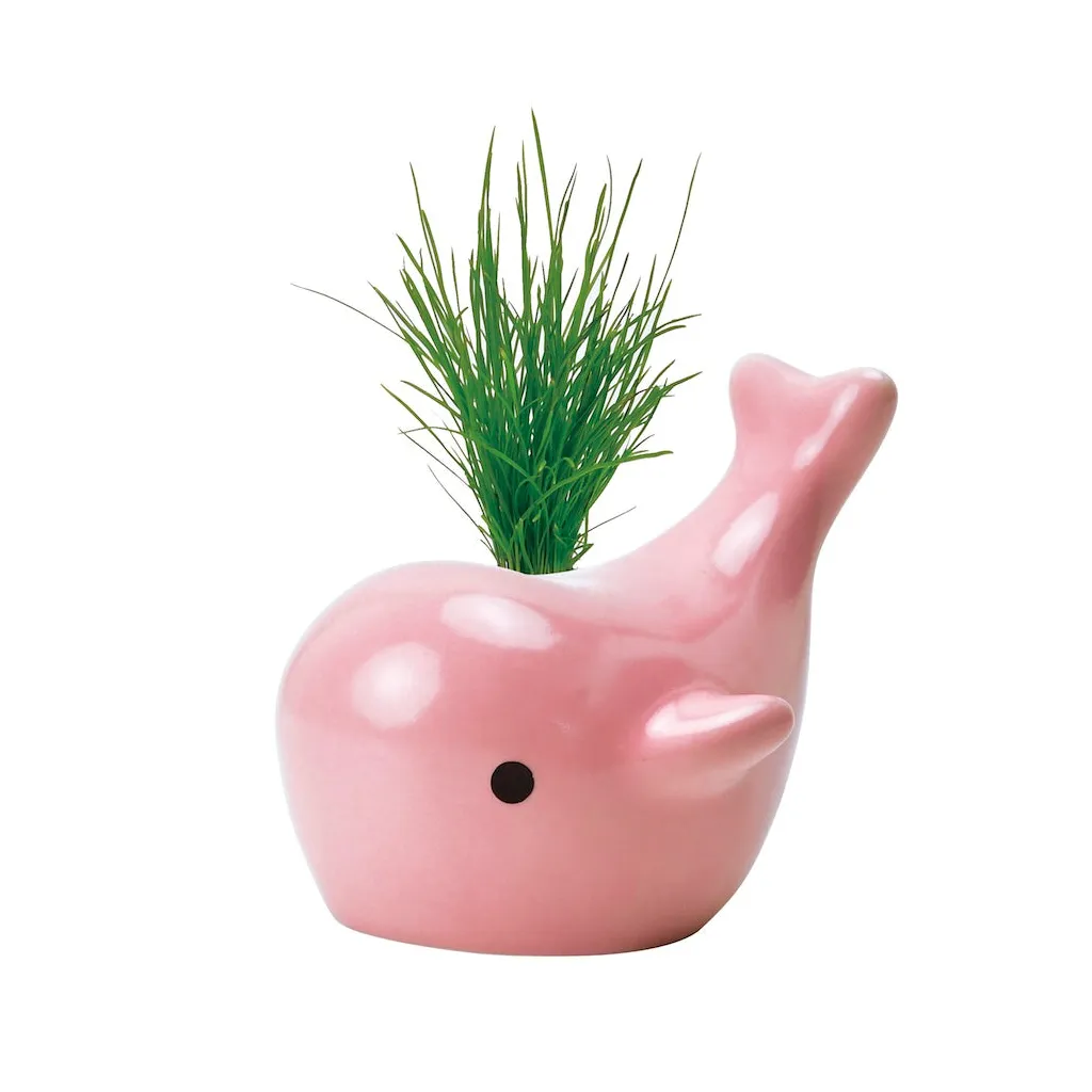 Happy Whale Planters