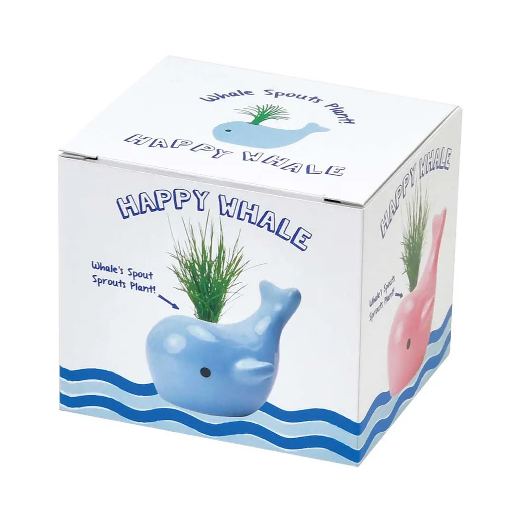 Happy Whale Planters