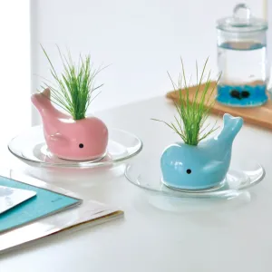 Happy Whale Planters