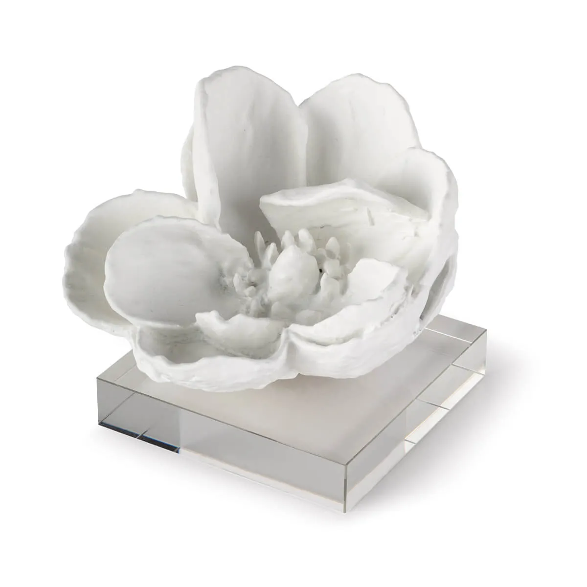MAGNOLIA OBJET-WHITE