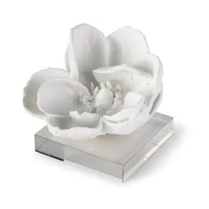 MAGNOLIA OBJET-WHITE