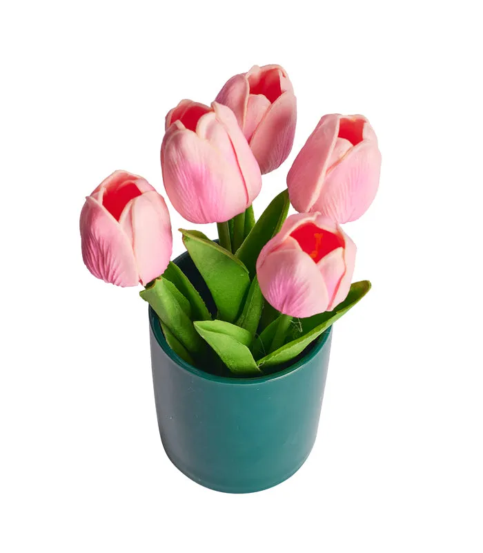 Maria Tulip - Pink