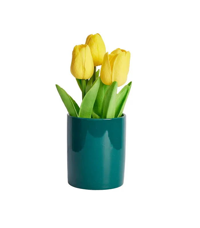 Maria Tulip - Yellow