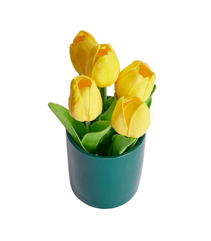 Maria Tulip - Yellow