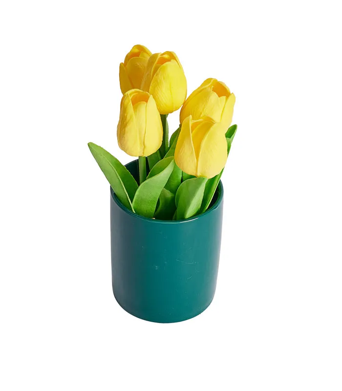 Maria Tulip - Yellow