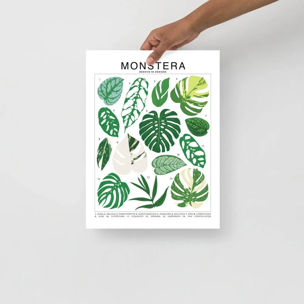 Monstera Species ID Chart - Botanical Houseplant Art Print