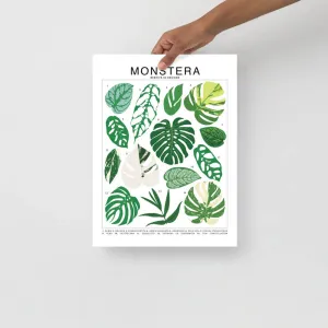 Monstera Species ID Chart - Botanical Houseplant Art Print