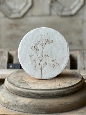Nature's Expressions | No. 1 | NOT CURRENTLY IN STOCK-New For Spring 2025!