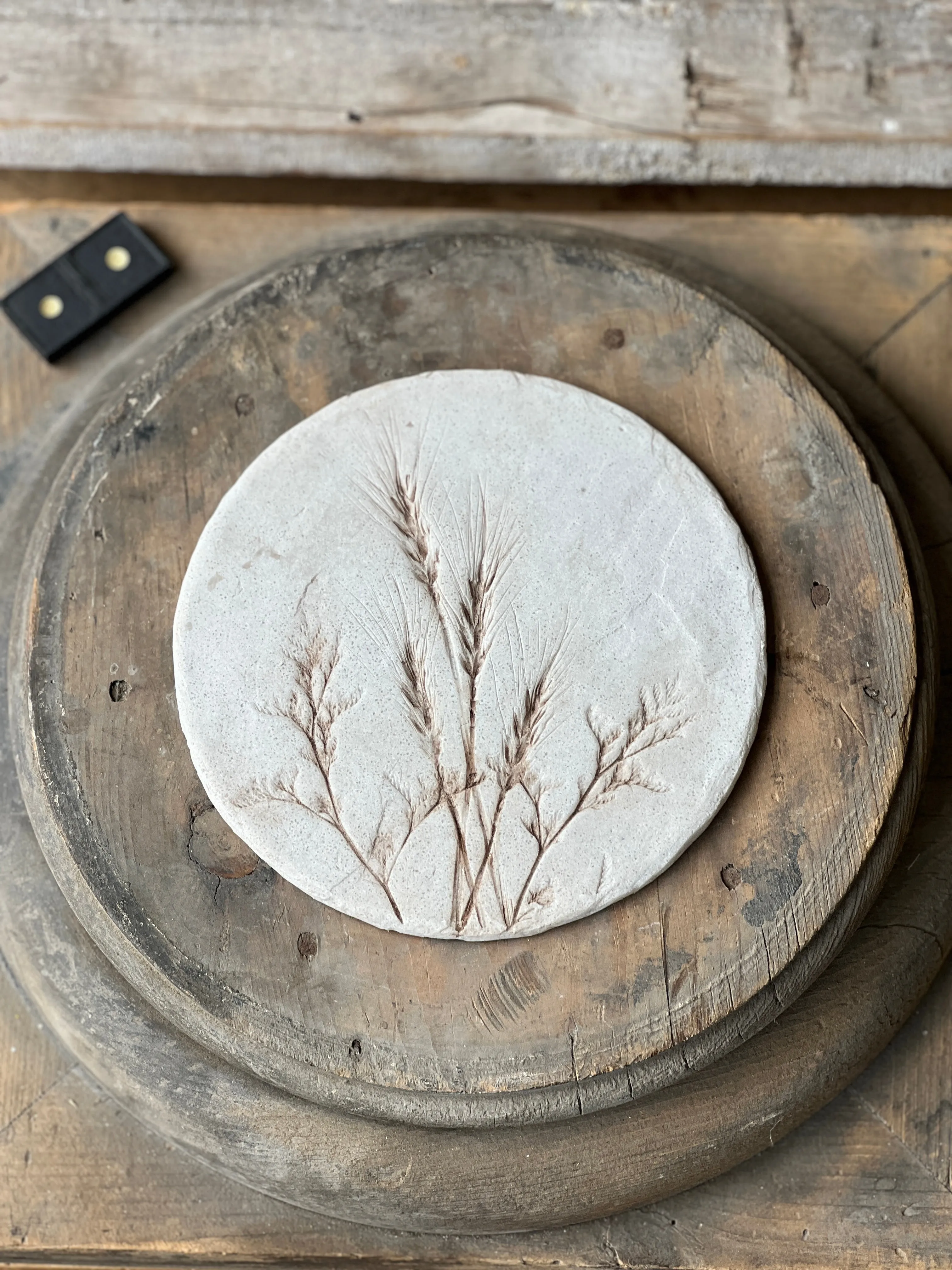 Nature's Expressions | No. 2 | NOT CURRENTLY IN STOCK-New For Spring 2025!