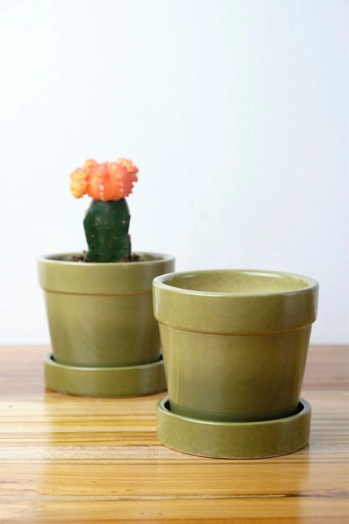 Ombre Olive Green Herb Planter (Set Of 2)