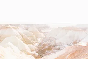 Petrified Forest