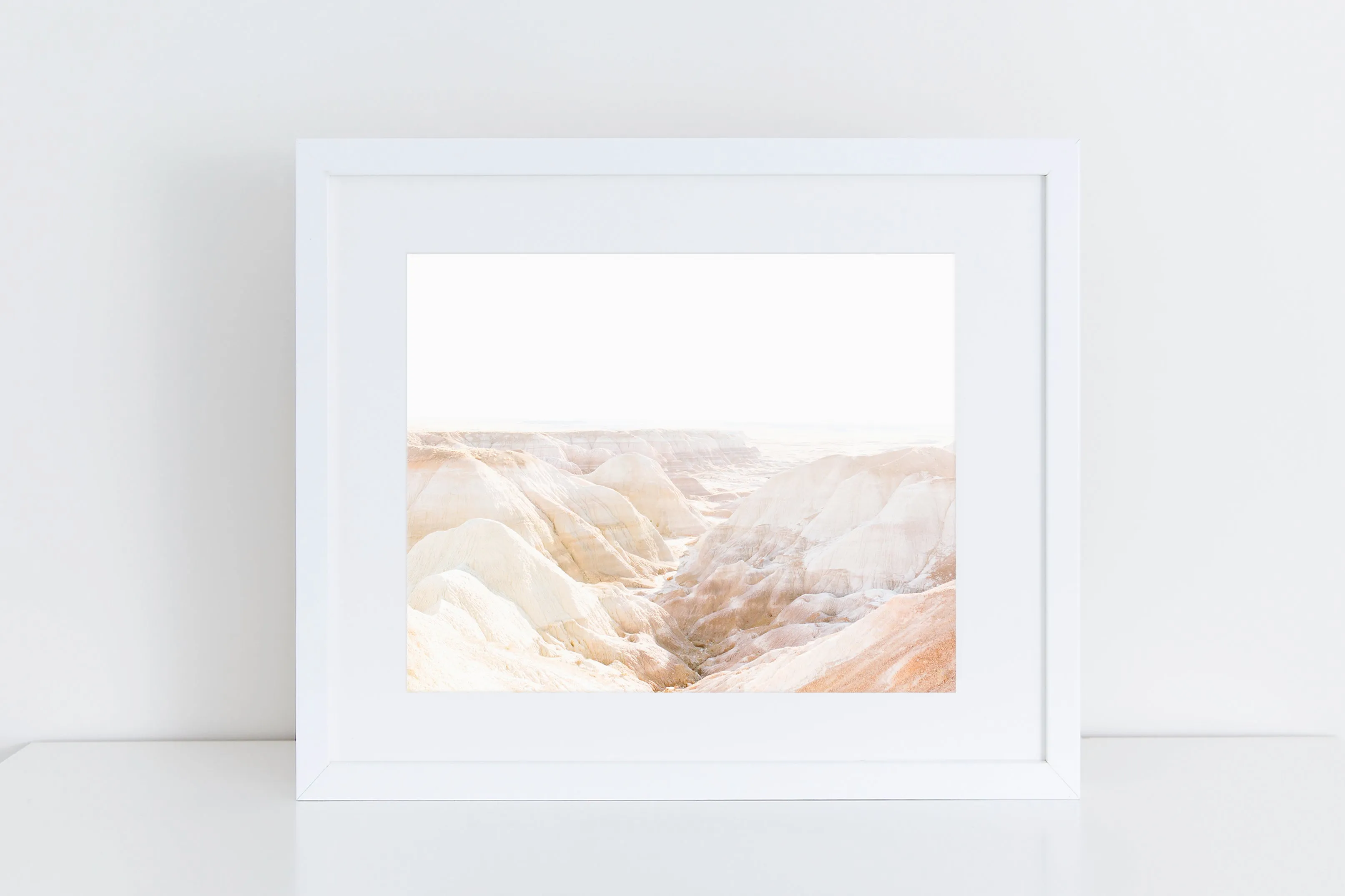 Petrified Forest