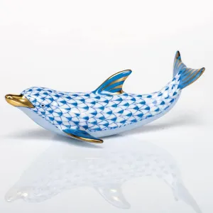 Playful Dolphin