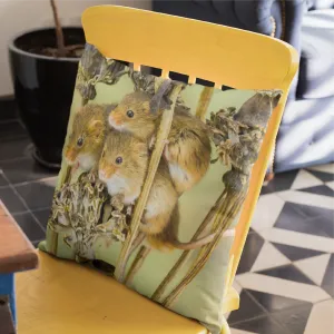 Playful Harvest Mice On Dried Poppy Seed Heads Cushion