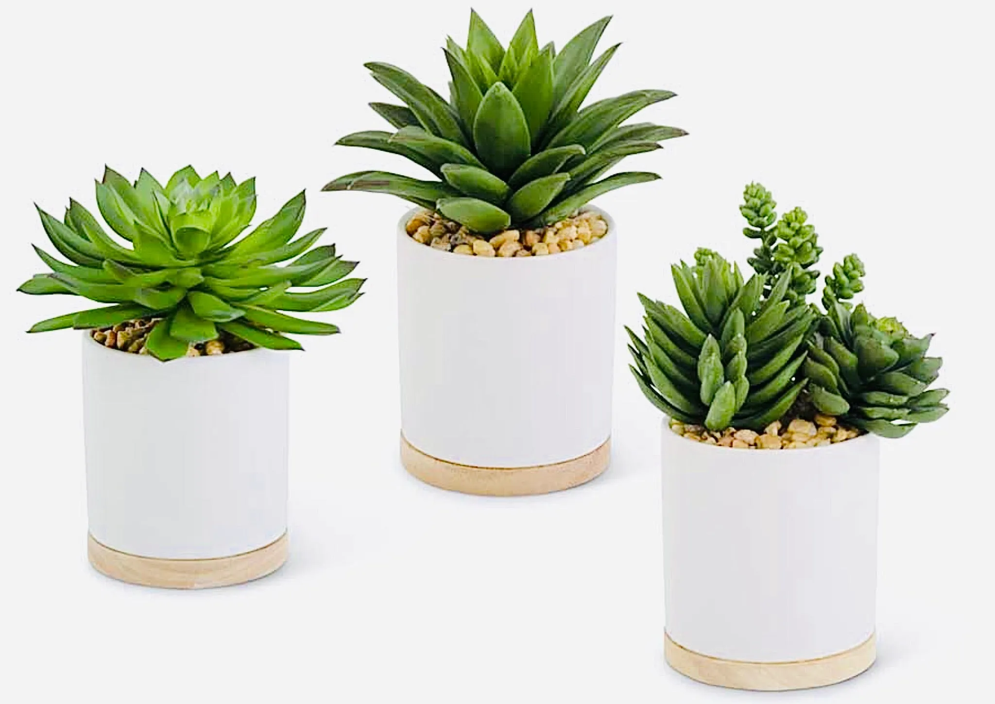 Potted Faux Succulent I