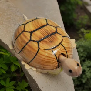 Salvus APP SOLUTIONS Charming Wooden Tortoise: A Perfect Blend of Home Decor and Playtime Fun