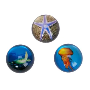 Sea Life Paperweights, Asst. of 3
