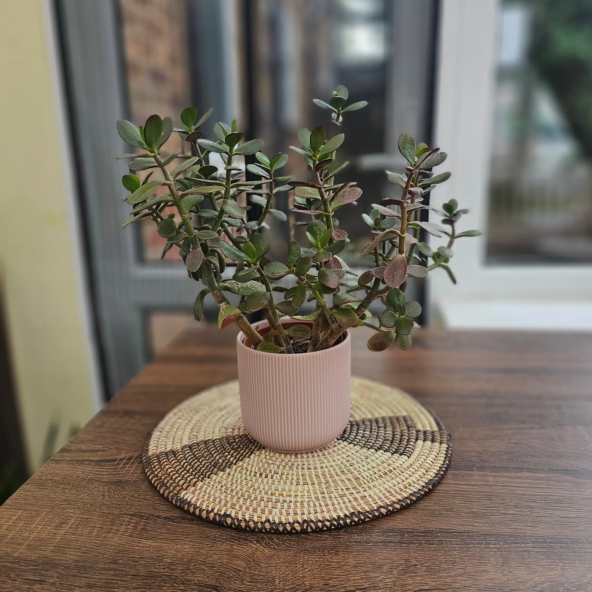 Senegalese Baskets - African Wall Décor – Aida