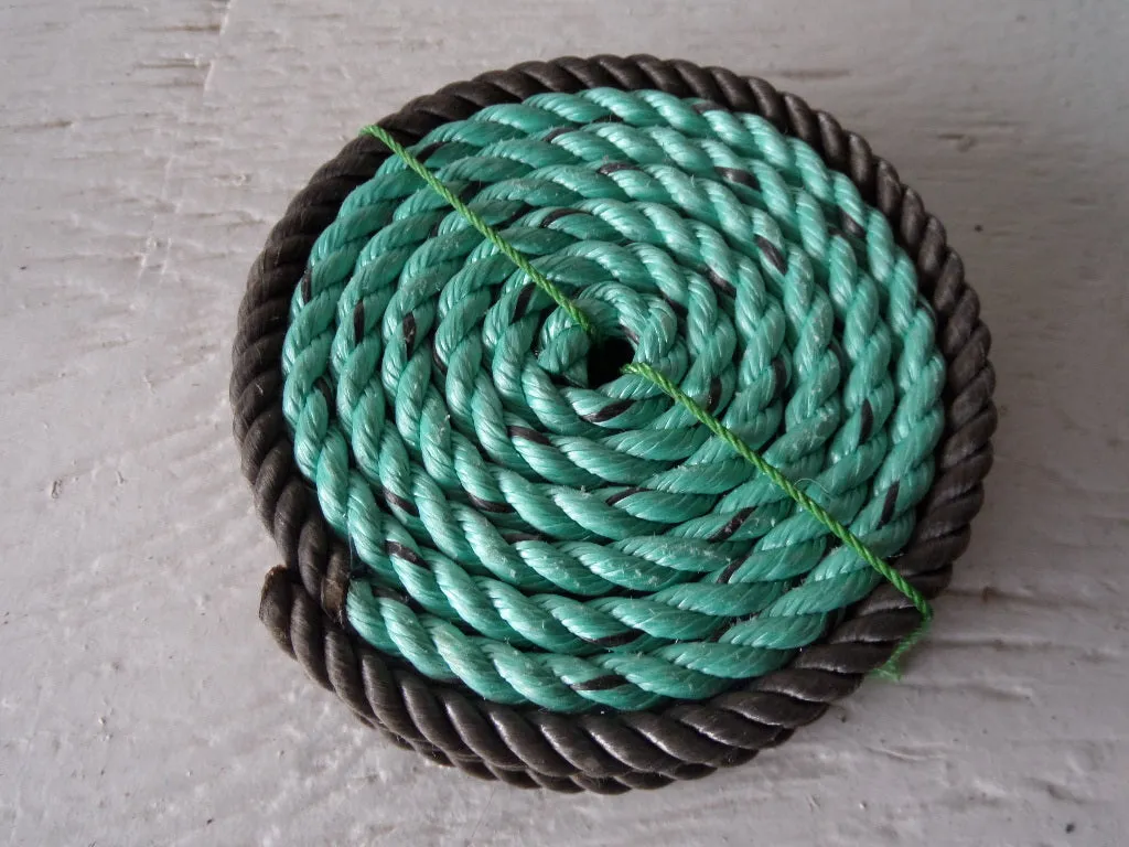 Set of 8 Coasters / Double Trimmed Two Color