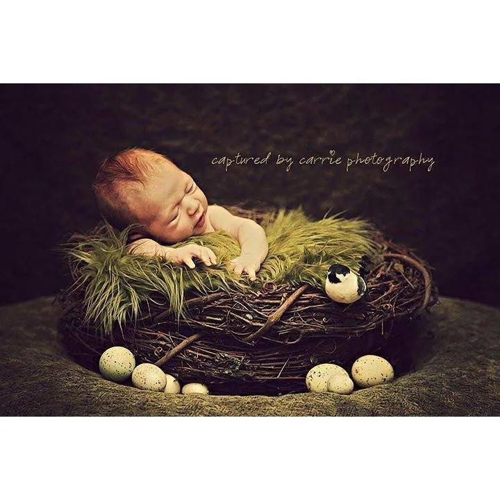 SET Olive Fur and Wood Branch Nest Owl Bird Photography Prop Newborn Baby Photo Prop